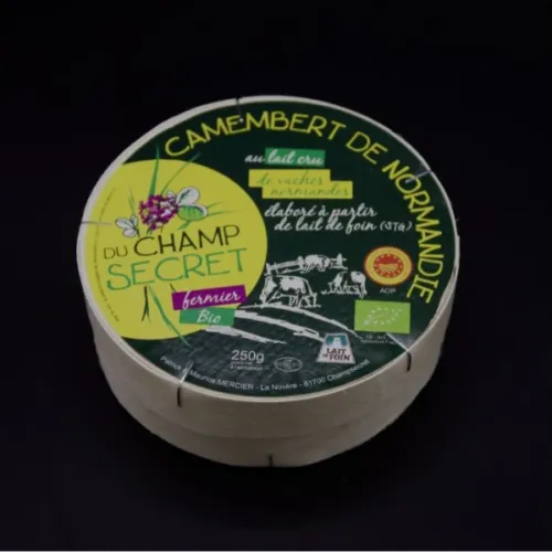 Camembert